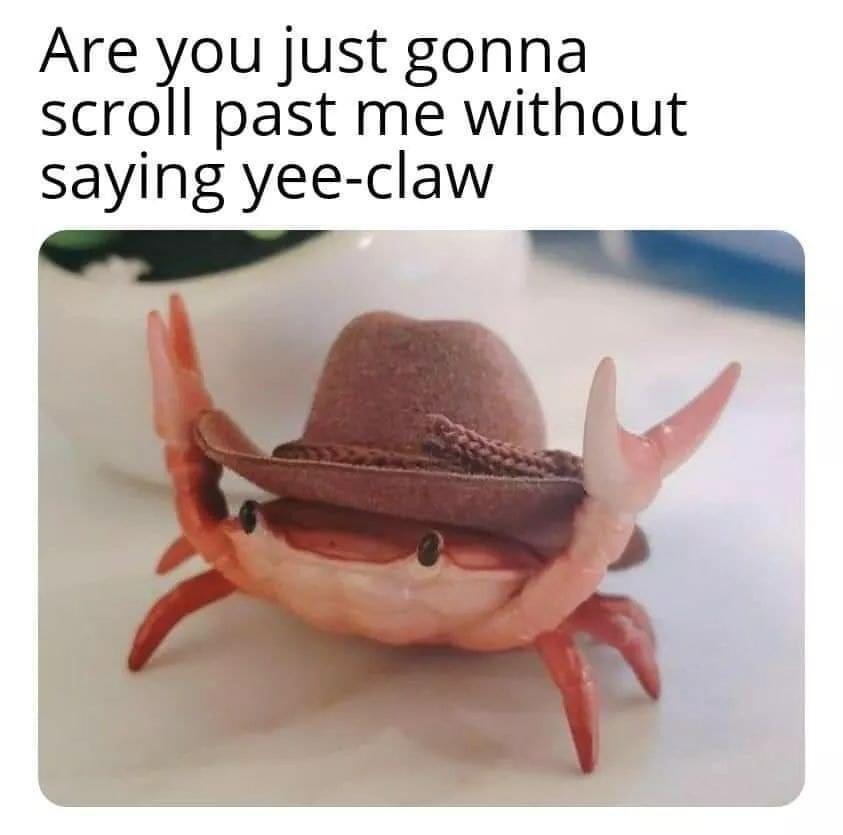 10 Dump Imgur Meme List Bark