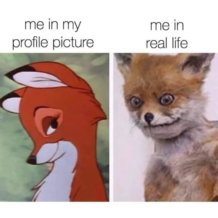 10 Dump Imgur Meme List Bark