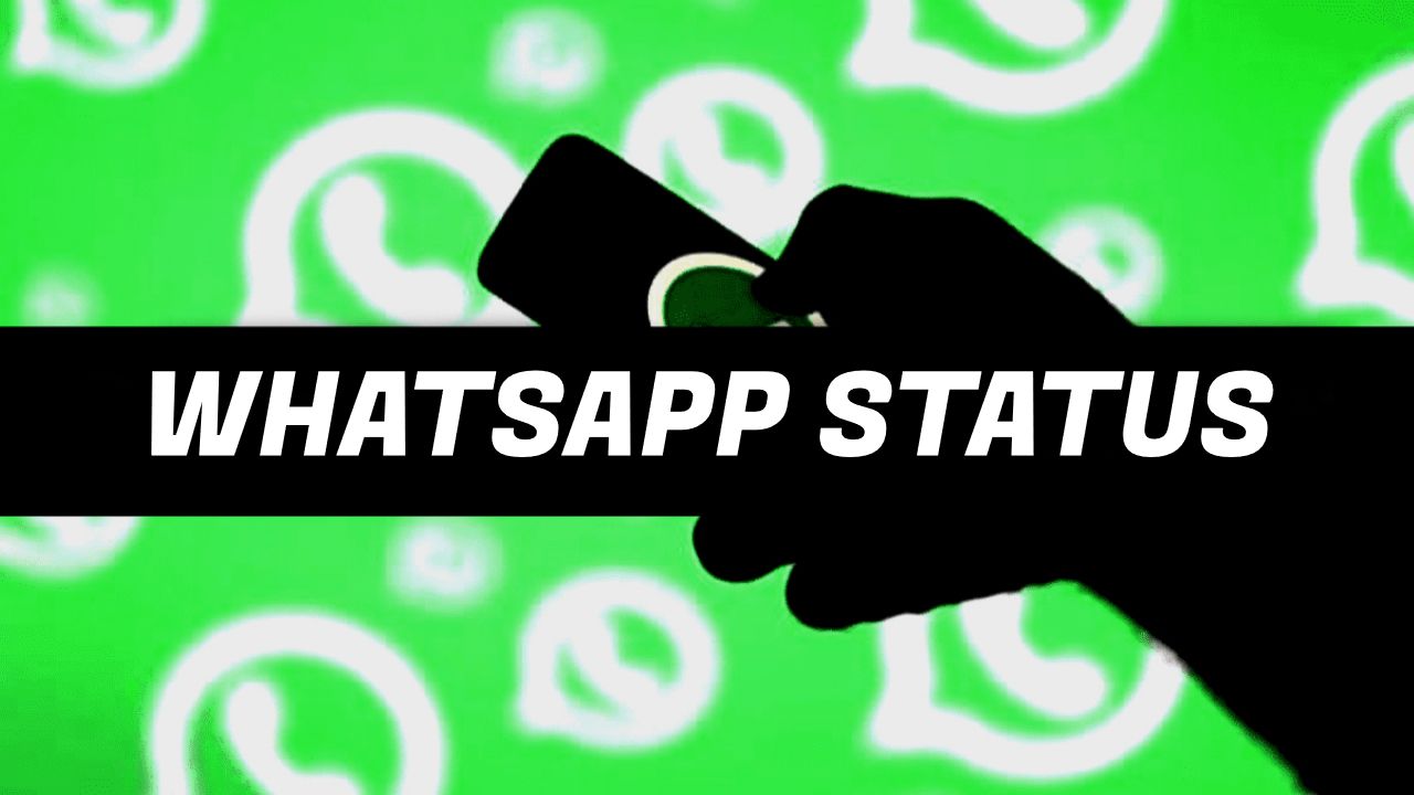 240 Best Whatsapp Status For All Time List Bark