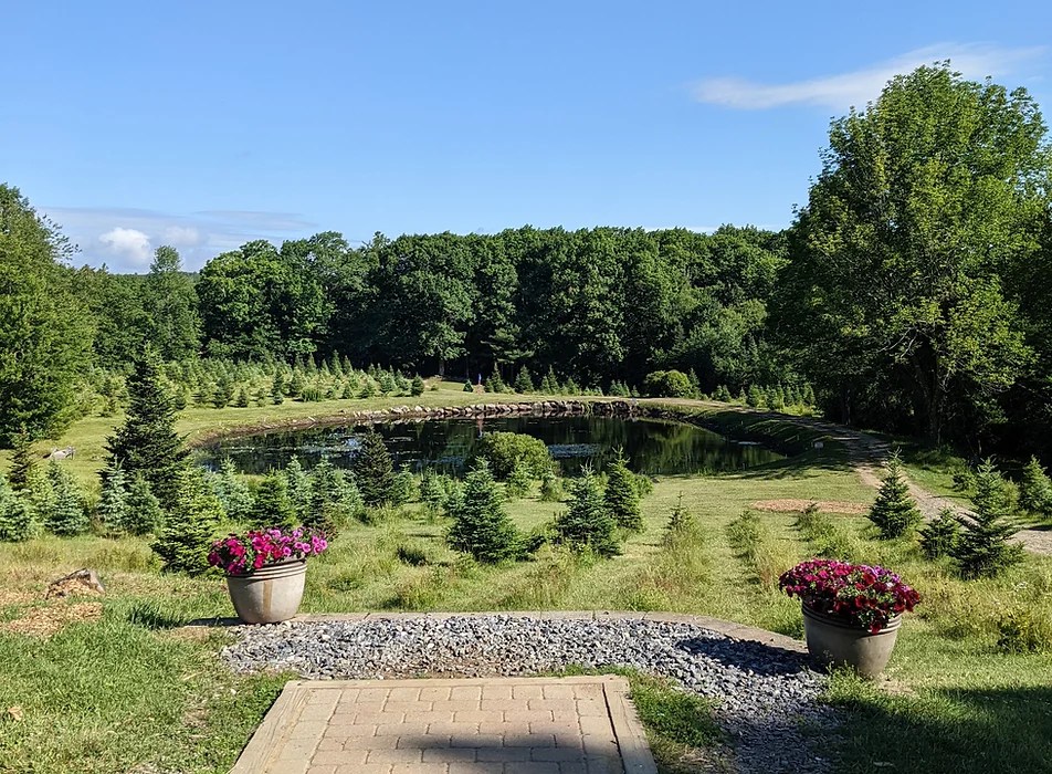 Best Disc Golf Courses in the USA The Top 15 List