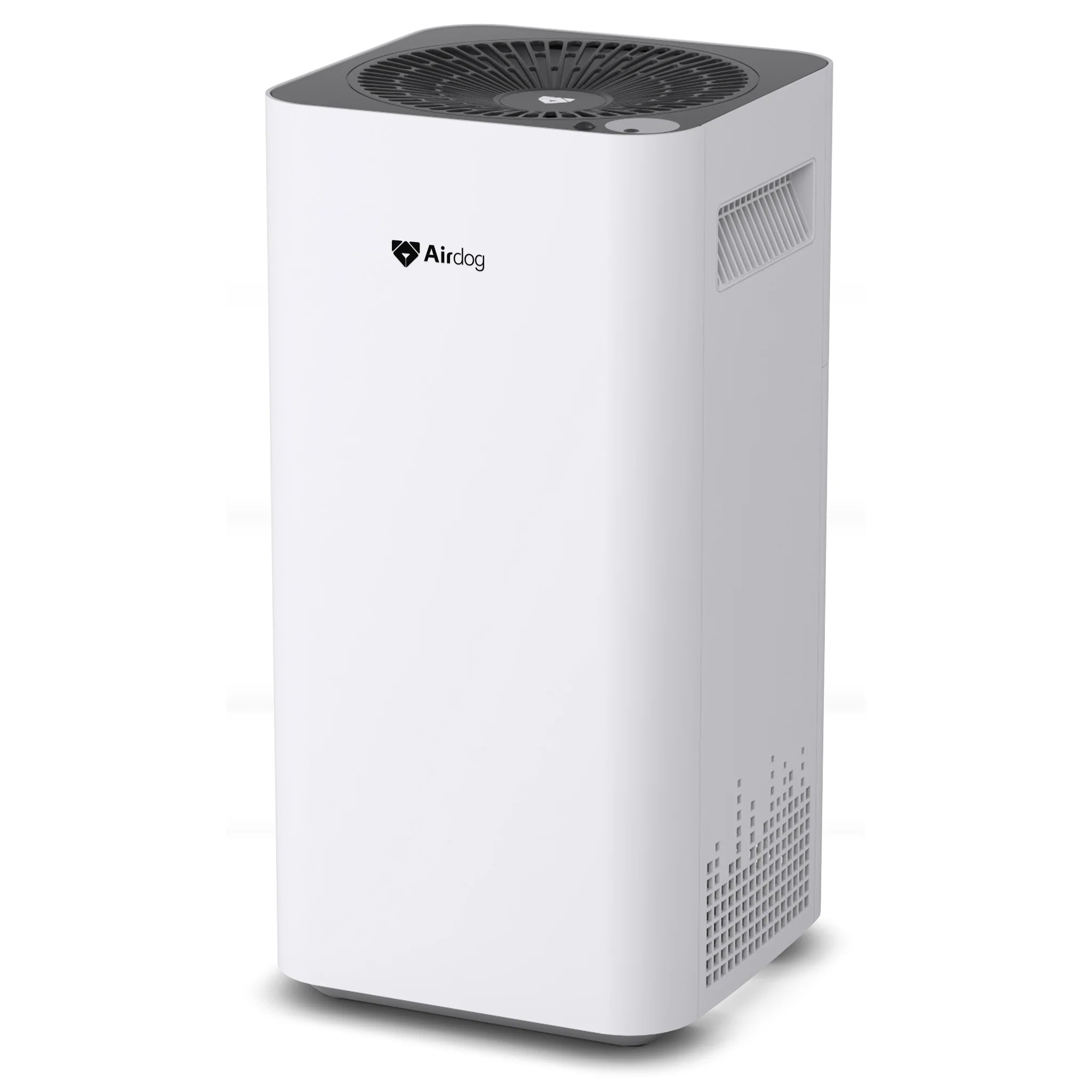Best Air Purifiers for Pets The Top 10 List