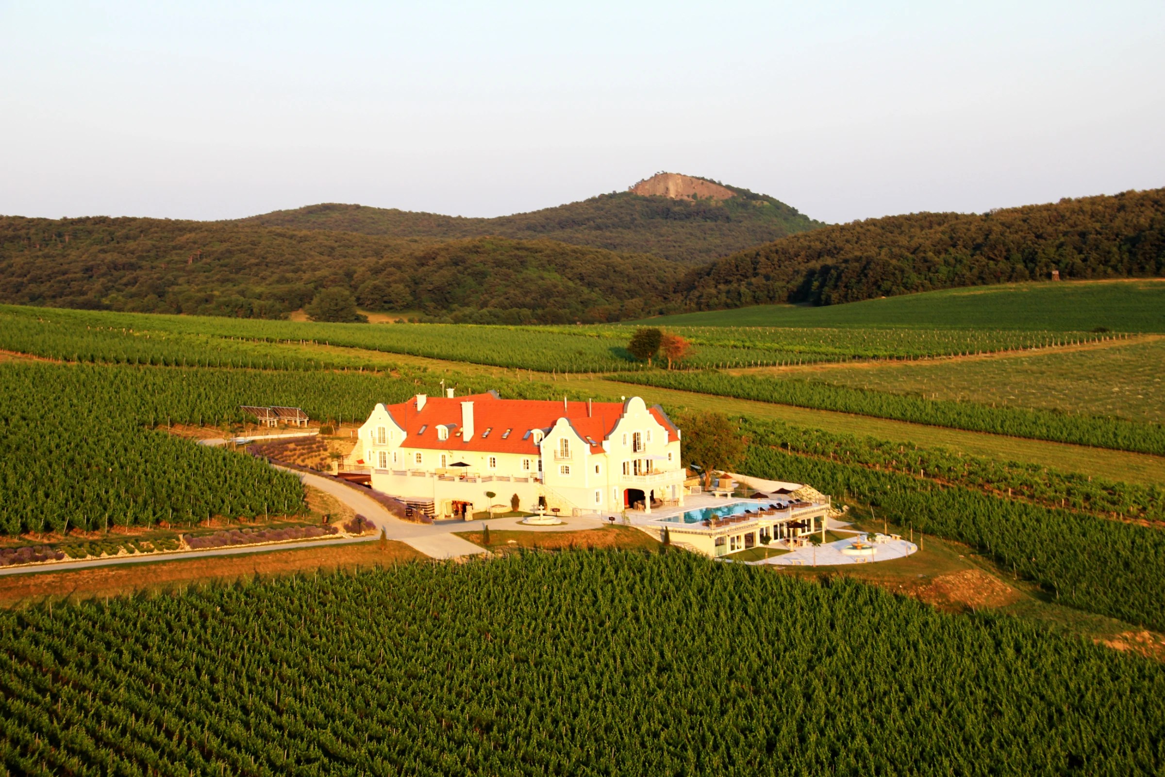 Liszkay Wines Liszkay Wine Estate