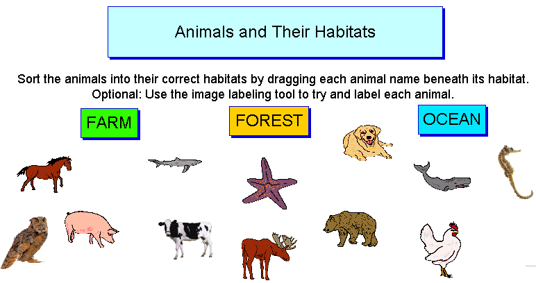 Software Templates for Kindergarten Literacy Themes
