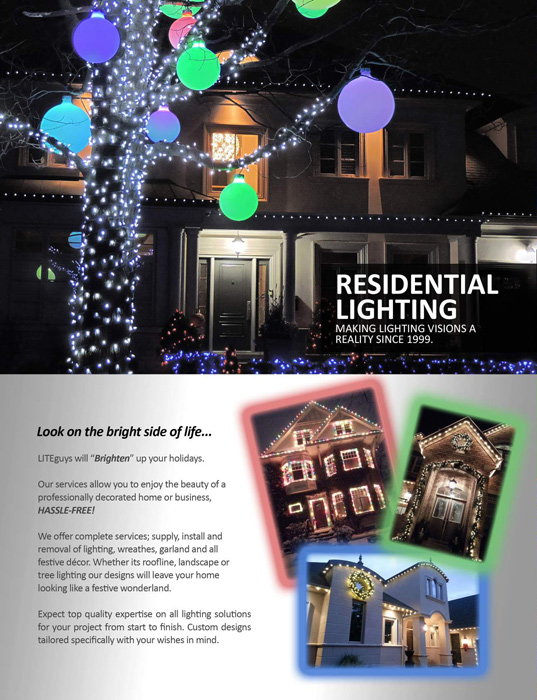 LITEguys Professional Christmas/Holiday Lighting Installation Services
