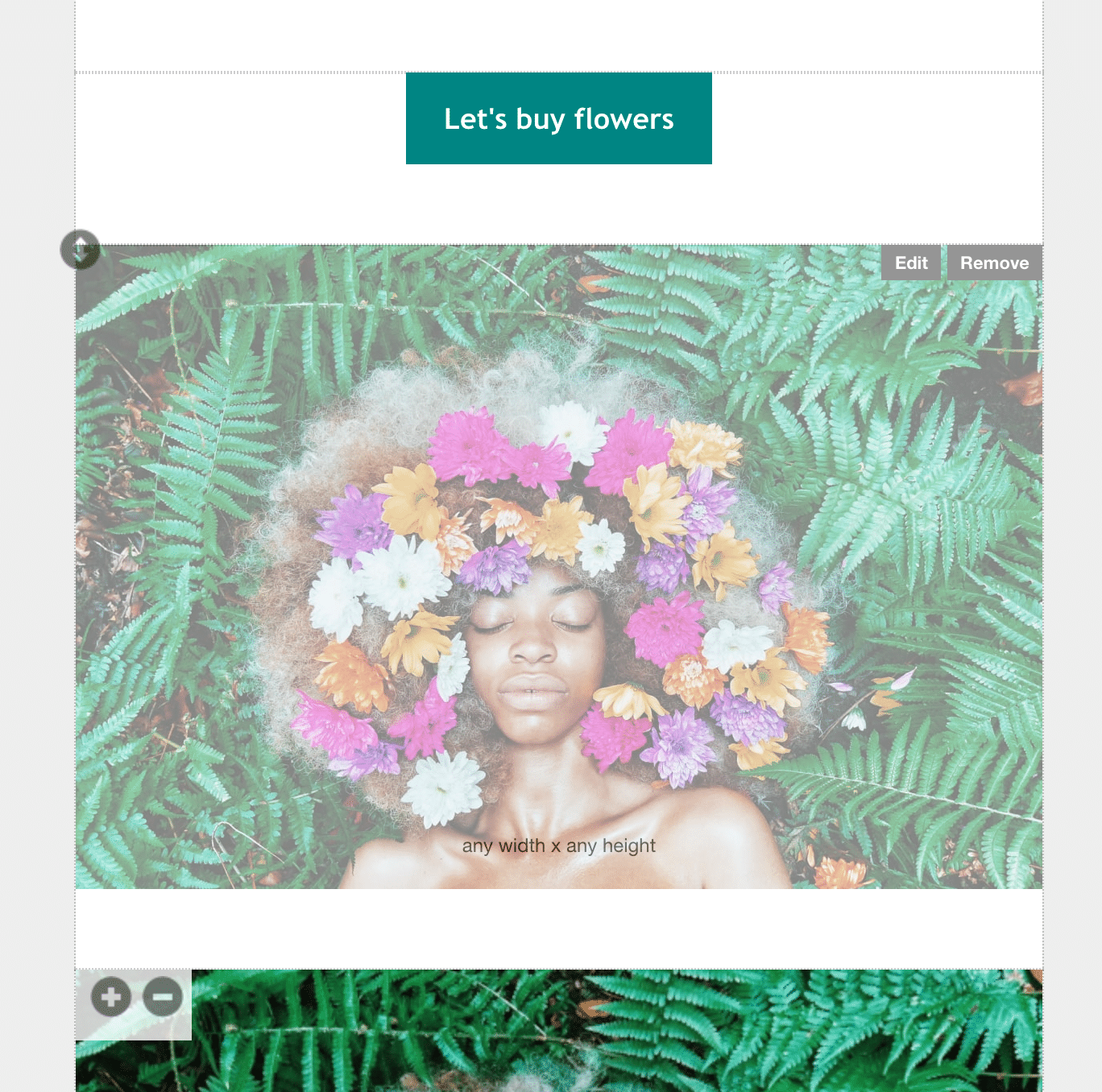 How to Make Custom Mailchimp Templates That Work Perfectly Litmus