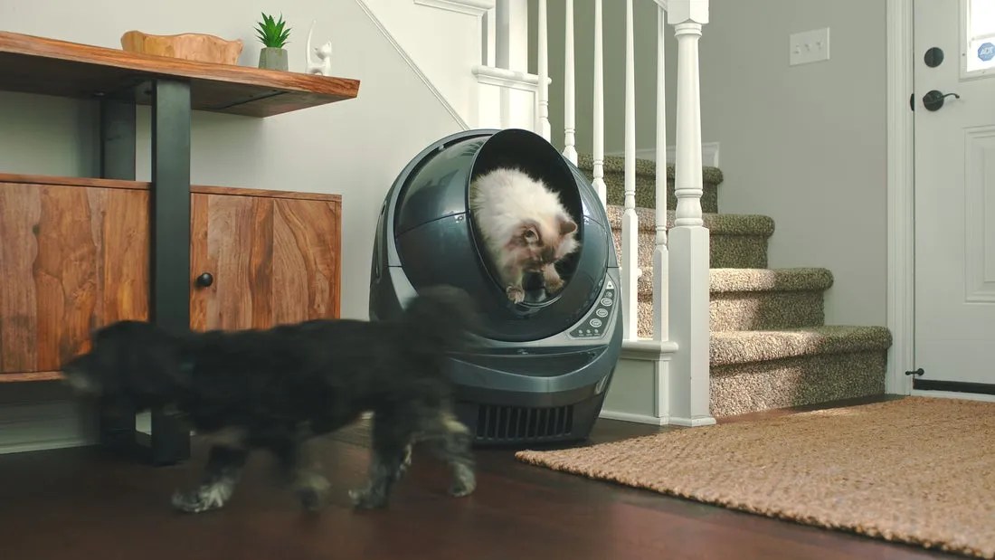 What’s the Best DogProof Litter Box? LitterRobot