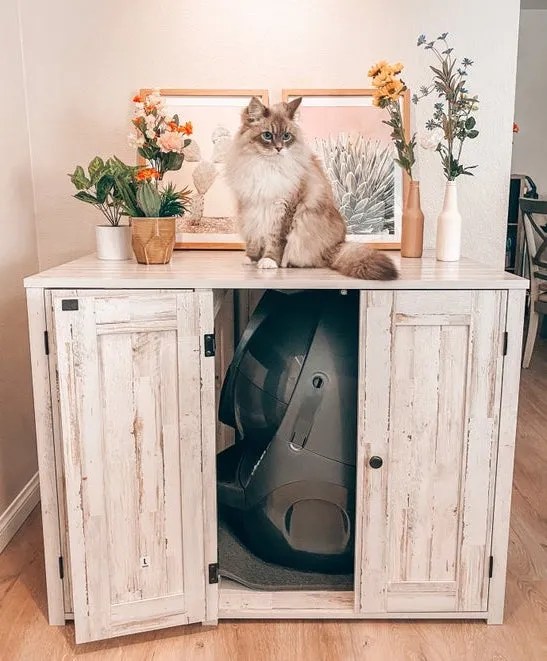 Where to put a litter box? Top 10 cat litter box placement ideas