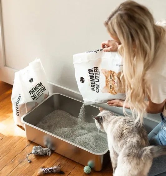 How Much Cat Litter Should You Use For Your Cat?