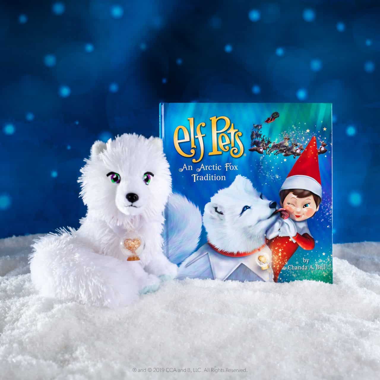 Elf pets Arctic Fox & Book Set Little Advent Boxes