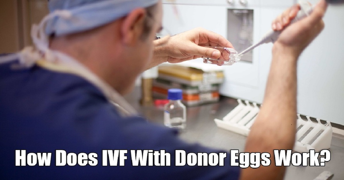 IVF with Donor Eggs Process & Success Rate Dr Mona Dahiya