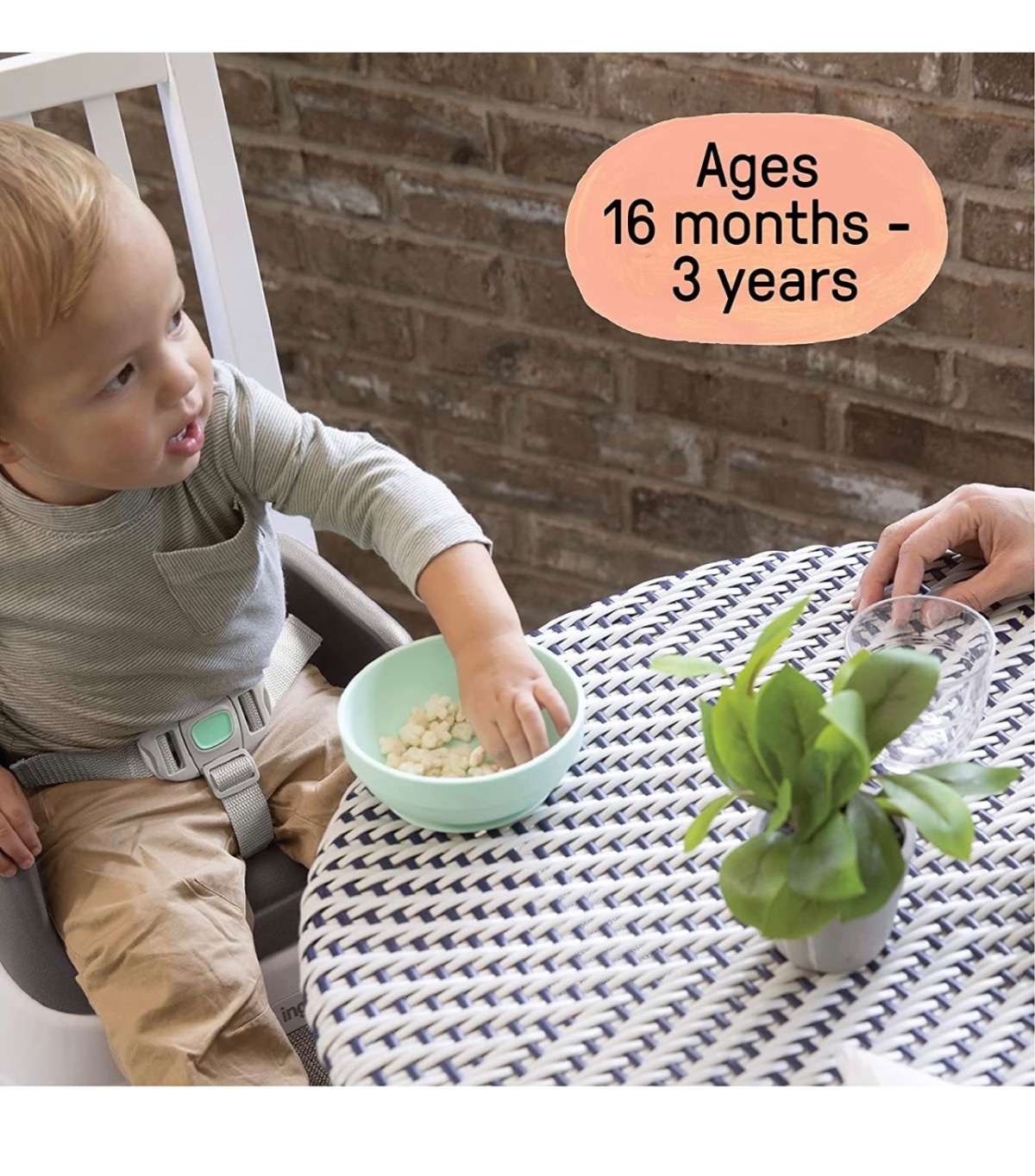 Ingenuity SmartClean Booster Seat - Little Beach Bum - Baby Gear Rentals