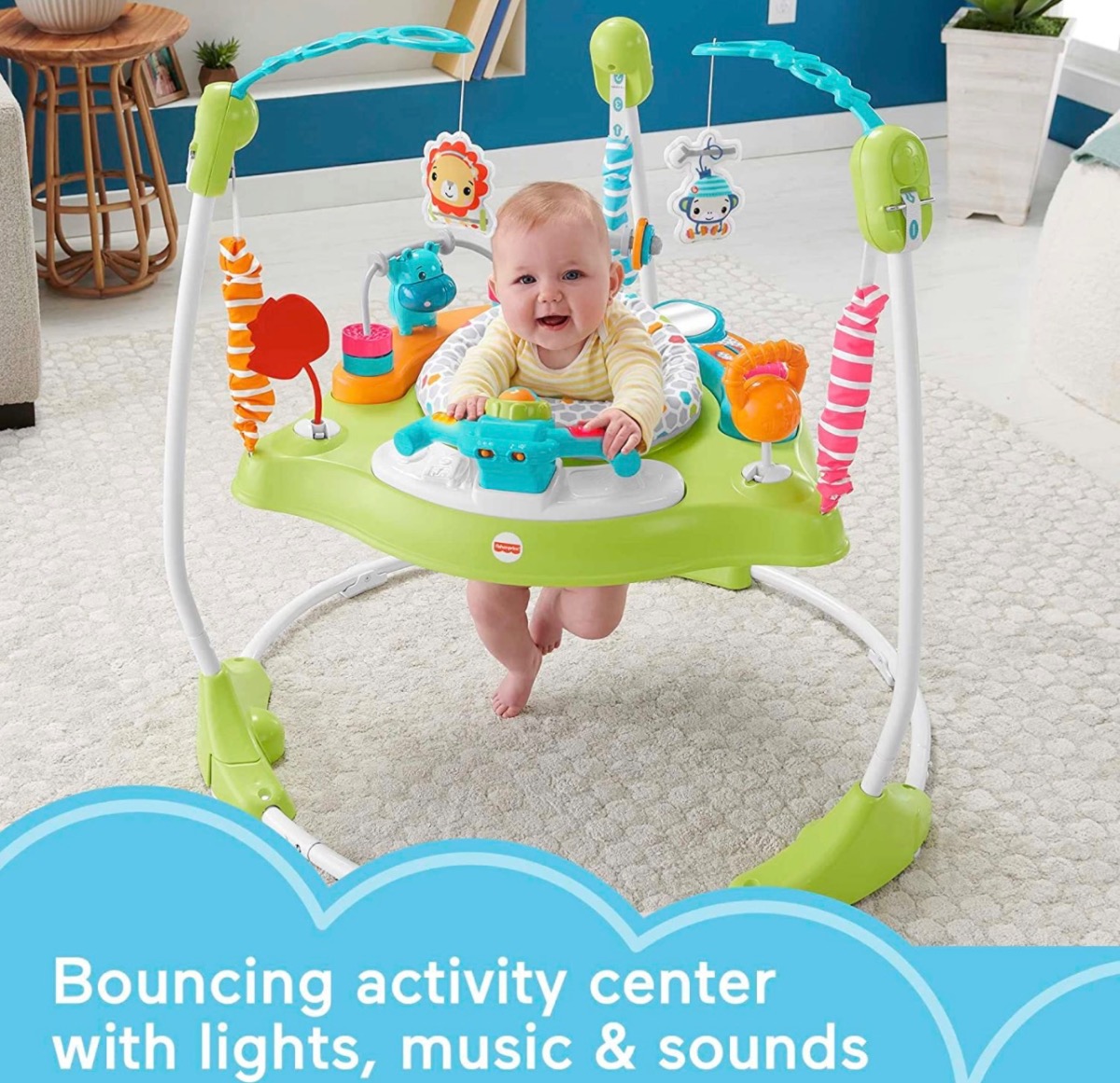 FisherPrice Baby Bouncer Fitness Fun Jumperoo Little Beach Bum