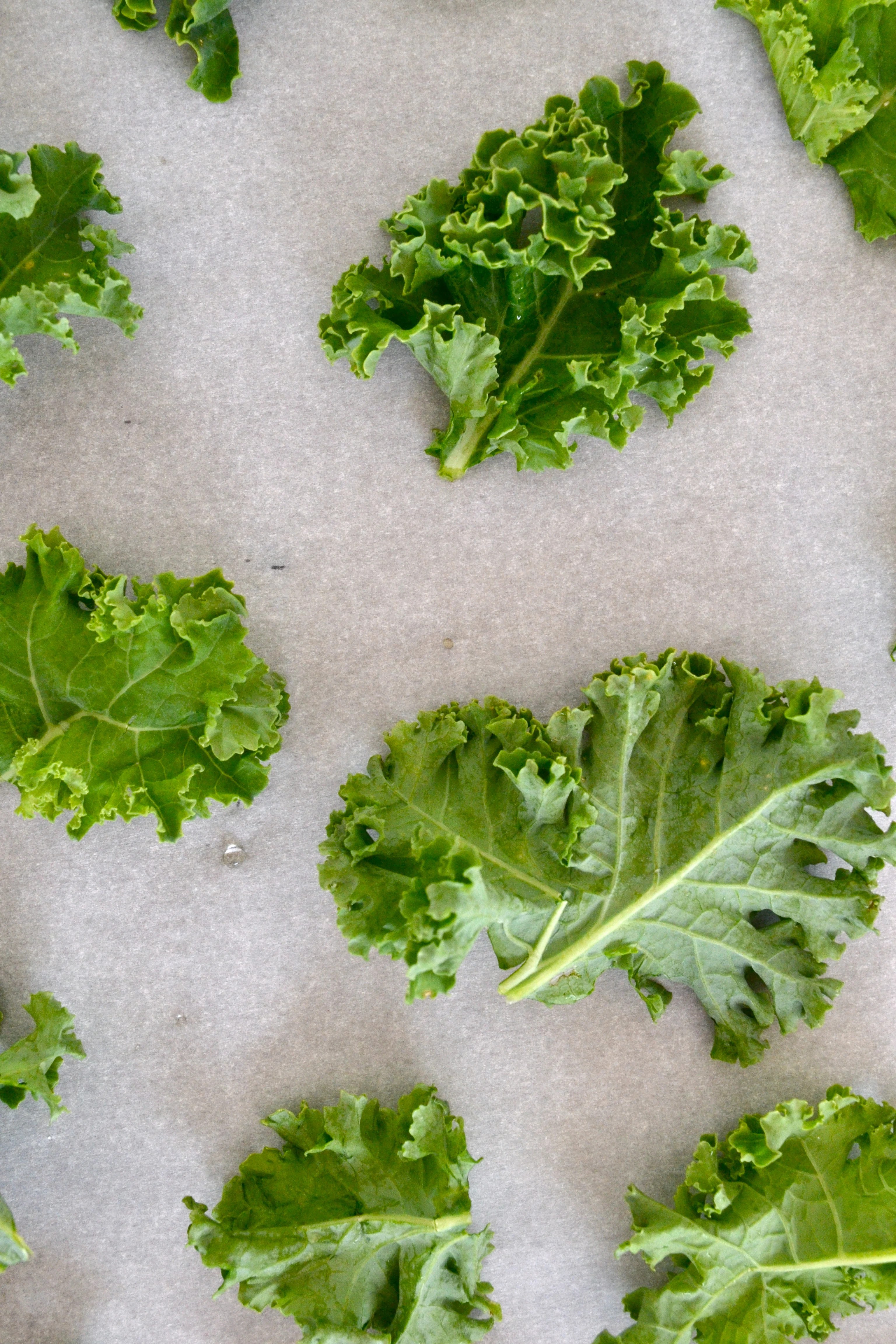 Crispy Salted Kale Chips Little Bits of...