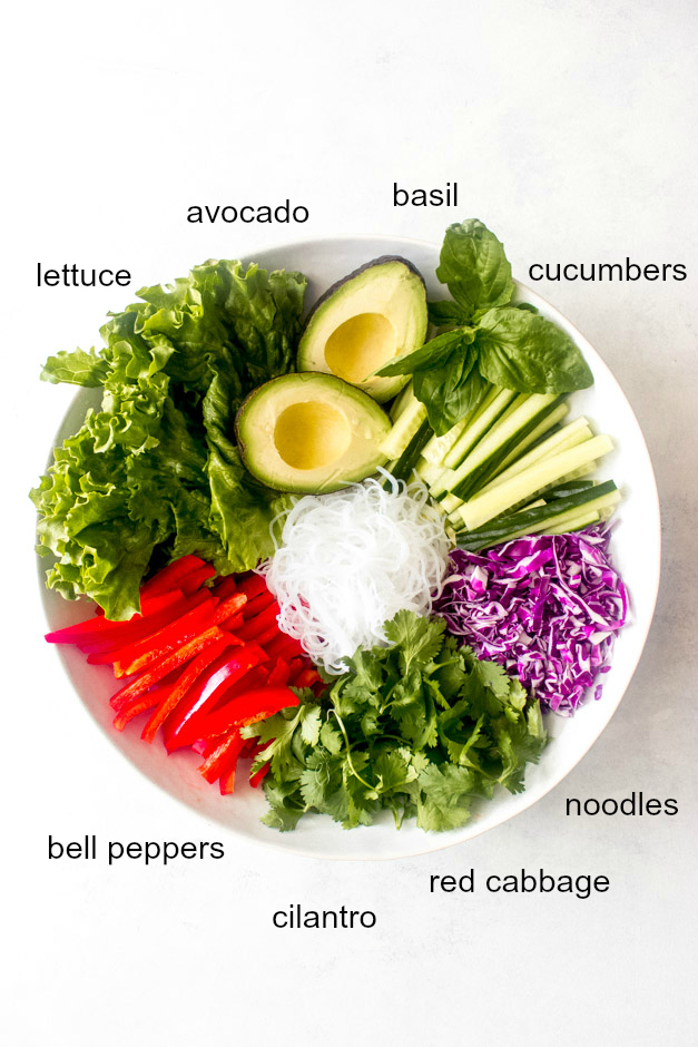 Veggie Rice Paper Rolls Recipe with Peanut Sauce Little Broken