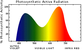 Light spectrum for growing plants. Acf Indoor Plant Grow Lights Information Guide