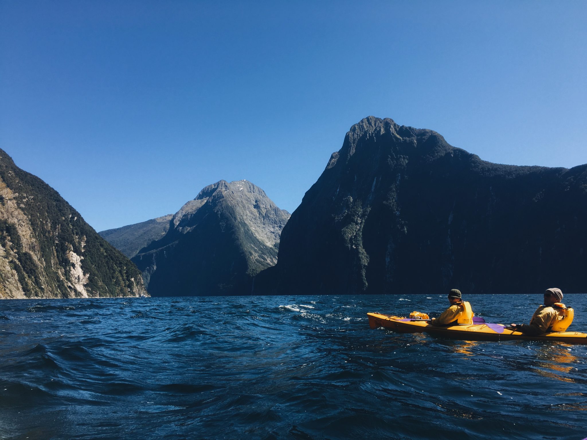 Kayaking Milford Sound
