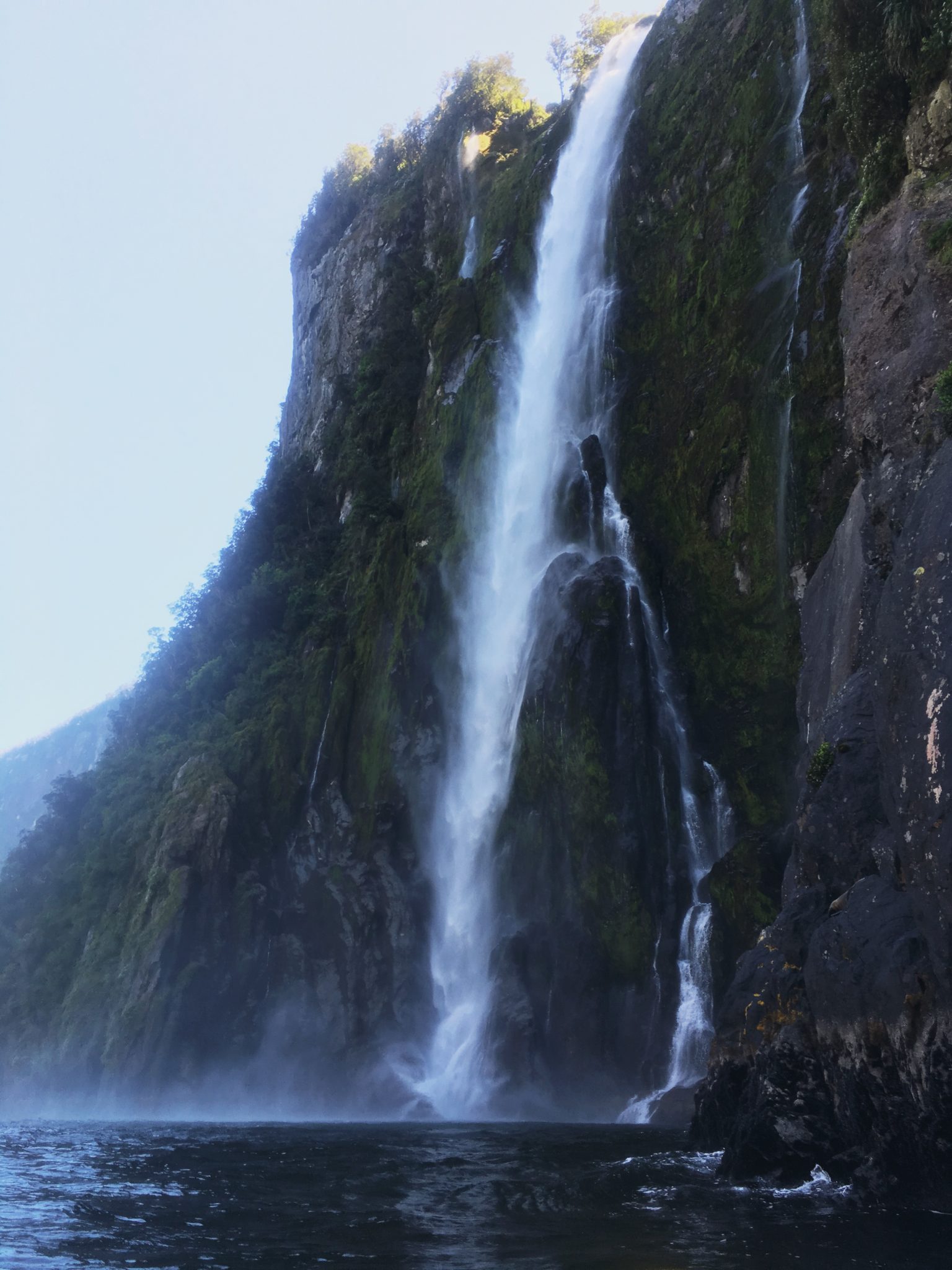 Kayaking Milford Sound
