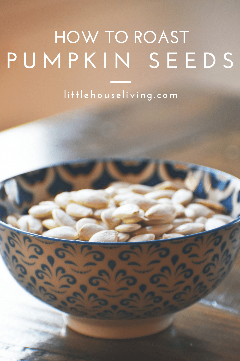 How to Dry Pumpkin Seeds from Fresh Pumpkins