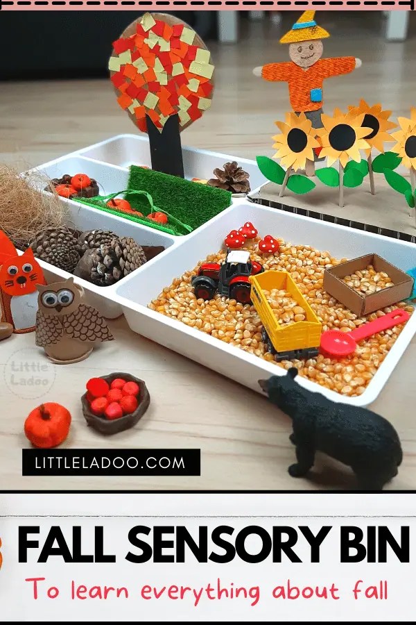 Fall Sensory Bin Learn about the Fall Season