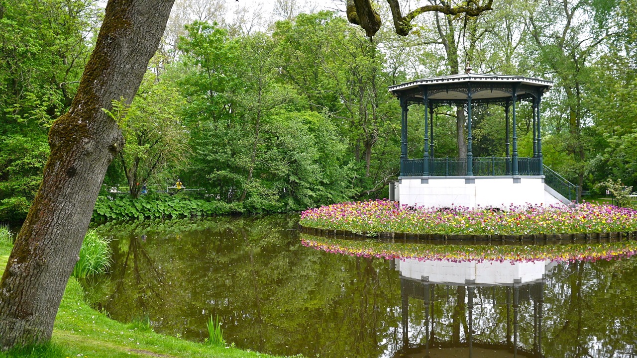 A Lazy Afternoon in Amsterdam's Vondelpark Little Observationist