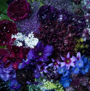 Aimer - あなたに出会わなければ〜夏雪冬花〜 ~ Oo歌詞