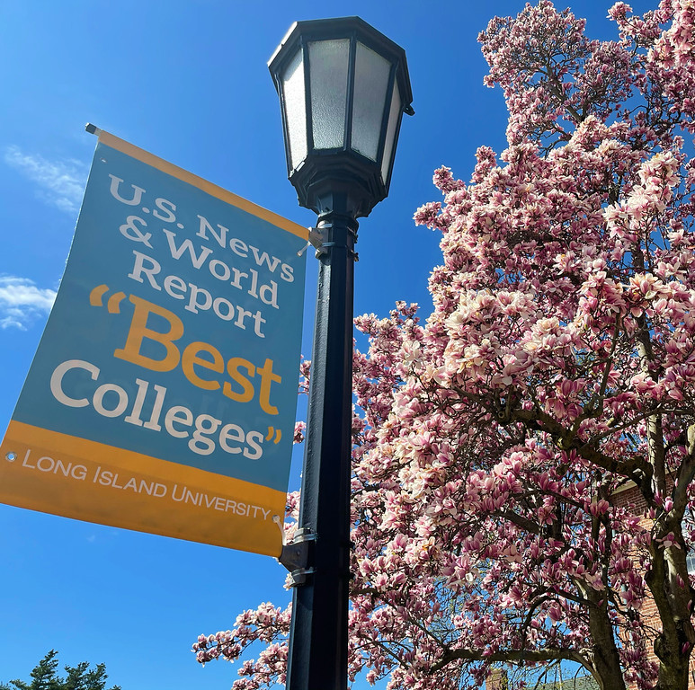 Graduate Long Island University