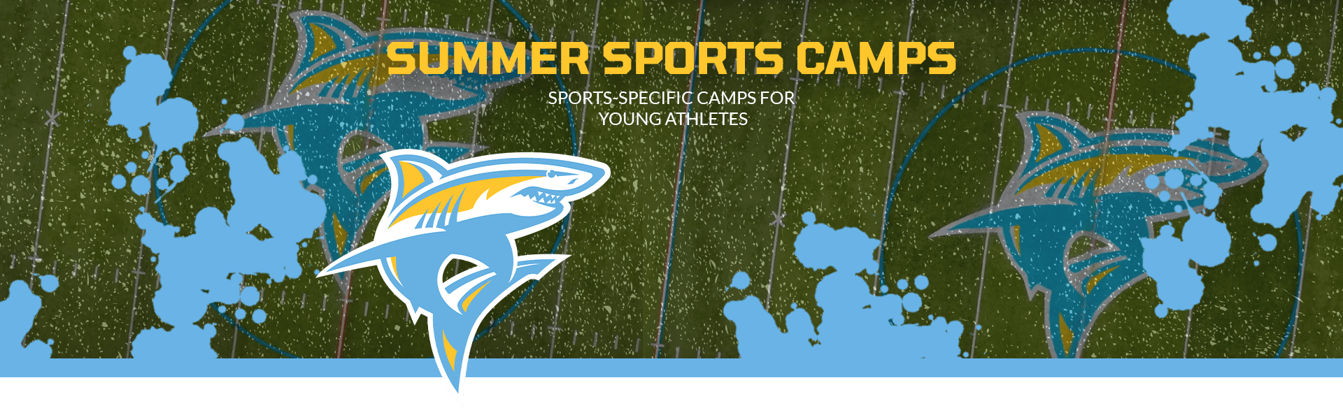 Sports Camps Long Island University