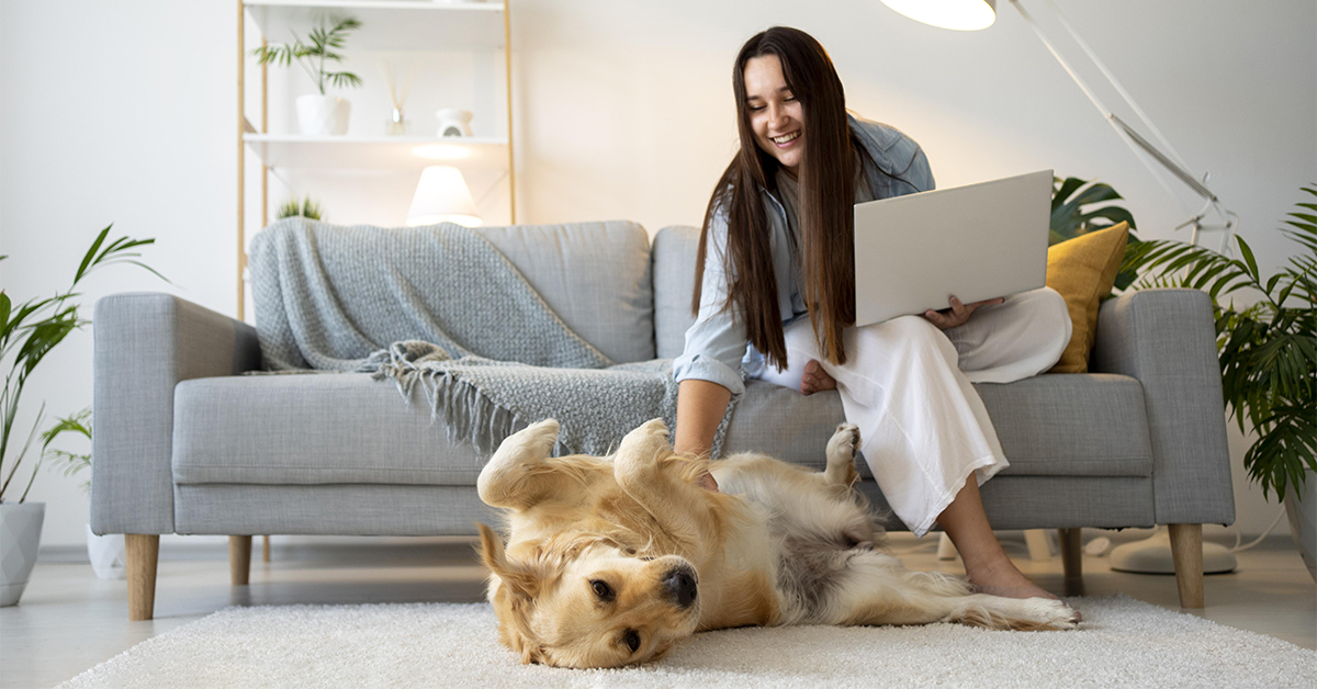 Best Pets for Apartment Living Elements At Prairie Center