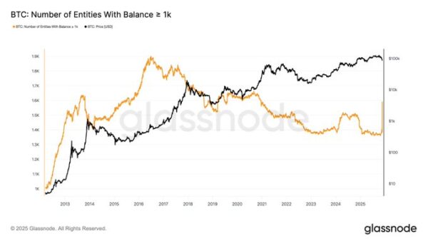 Number of Bitcoin whale wallets is exploding