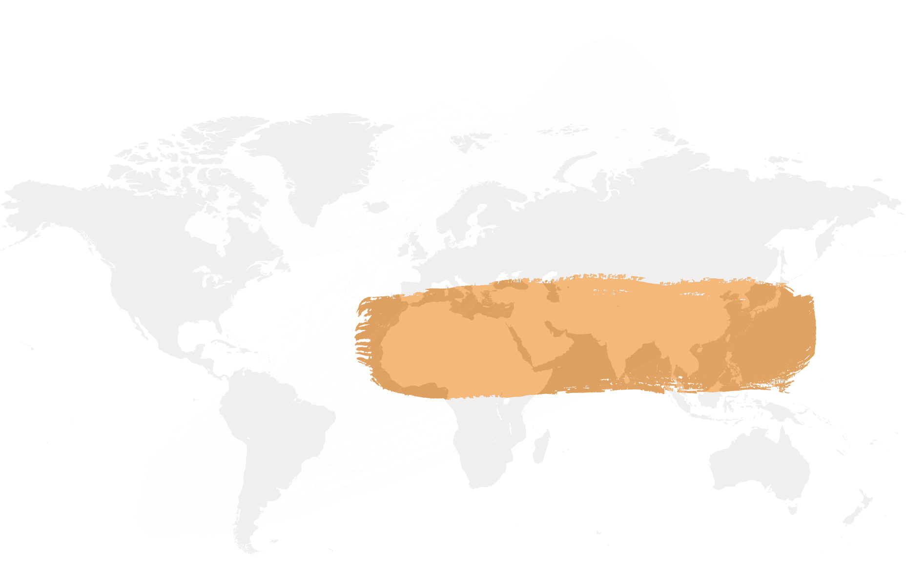 What are Launch Teams? Live Dead