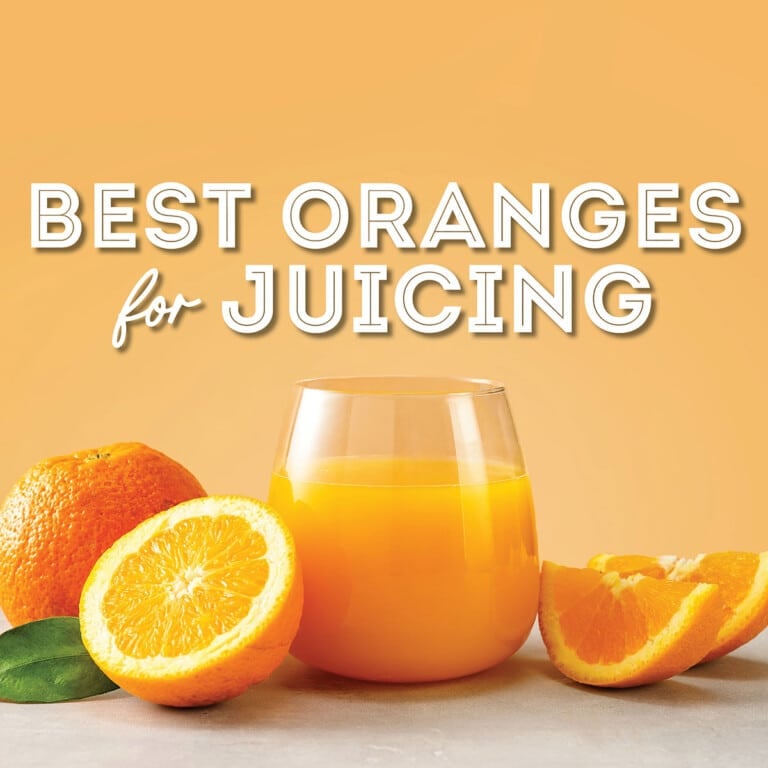 13 Best Oranges for Juicing (With Photos!) Live Eat Learn