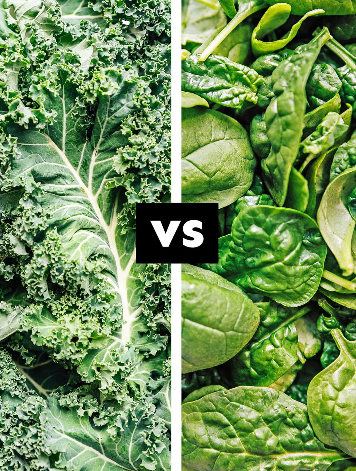 Kale Vs. Spinach Which Is Better? (With Photos!)