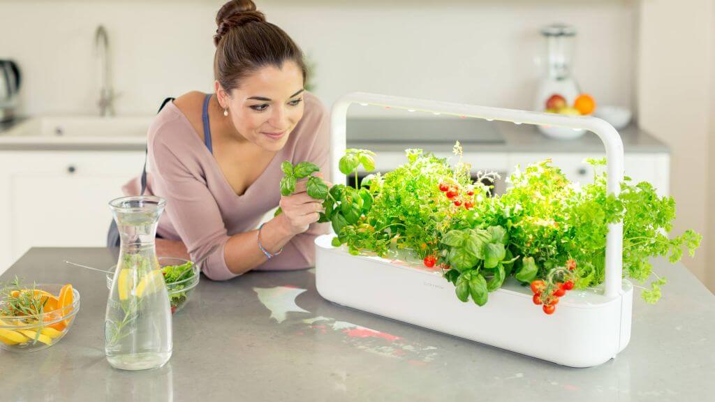 7 Smart Kitchen Gadgets That Will Make Your Life Easier Live Enhanced
