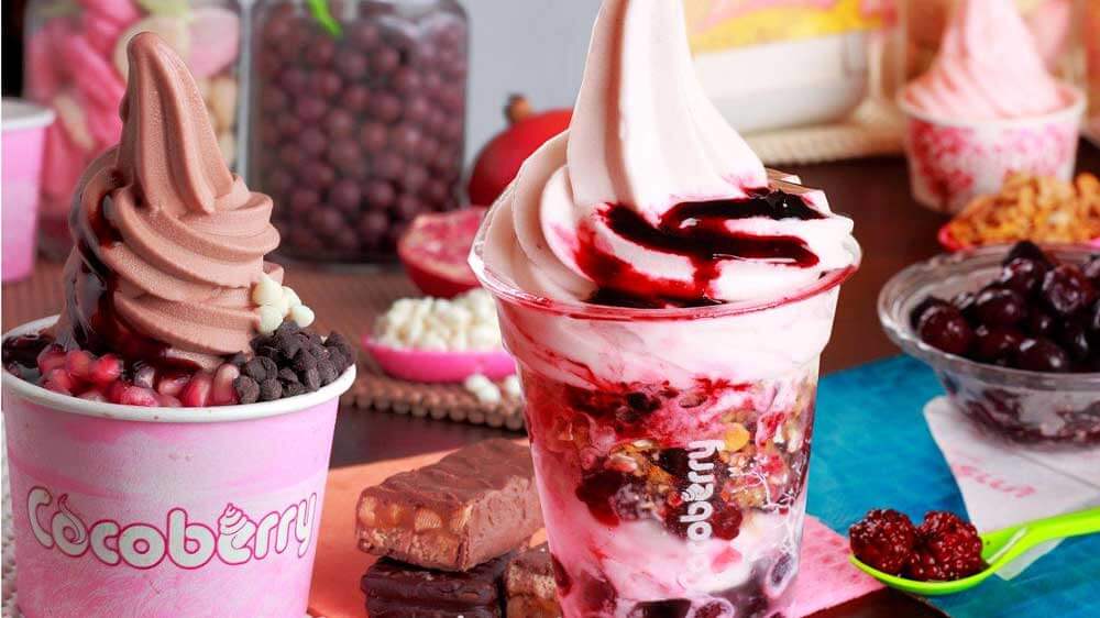 5 Vegan Frozen Yogurt Flavors Debut in Indian Dessert Chain 'Cocoberry'