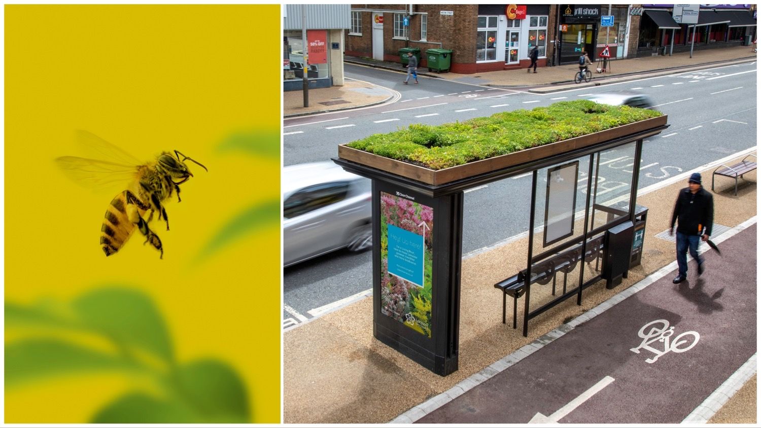 BeeFriendly Bus Stops Are the Latest Innovation to Save Our Pollinator