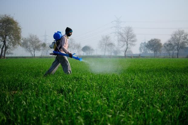 Global warming seen taking toll on health, economy and crops Livemint
