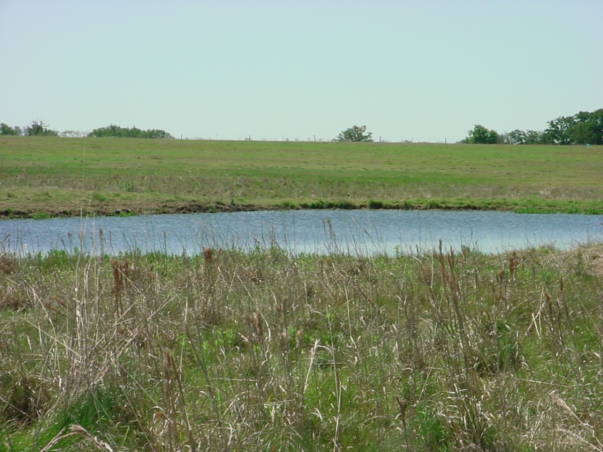 260 Acres Live Oak Realty