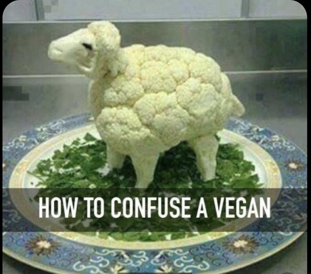 30 Clean Funny Animal Memes 2021 Live One Good Life