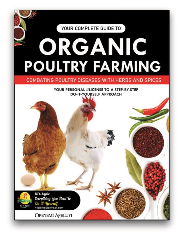 Effective Herbs to Make Chickens Healthy and DiseaseFree