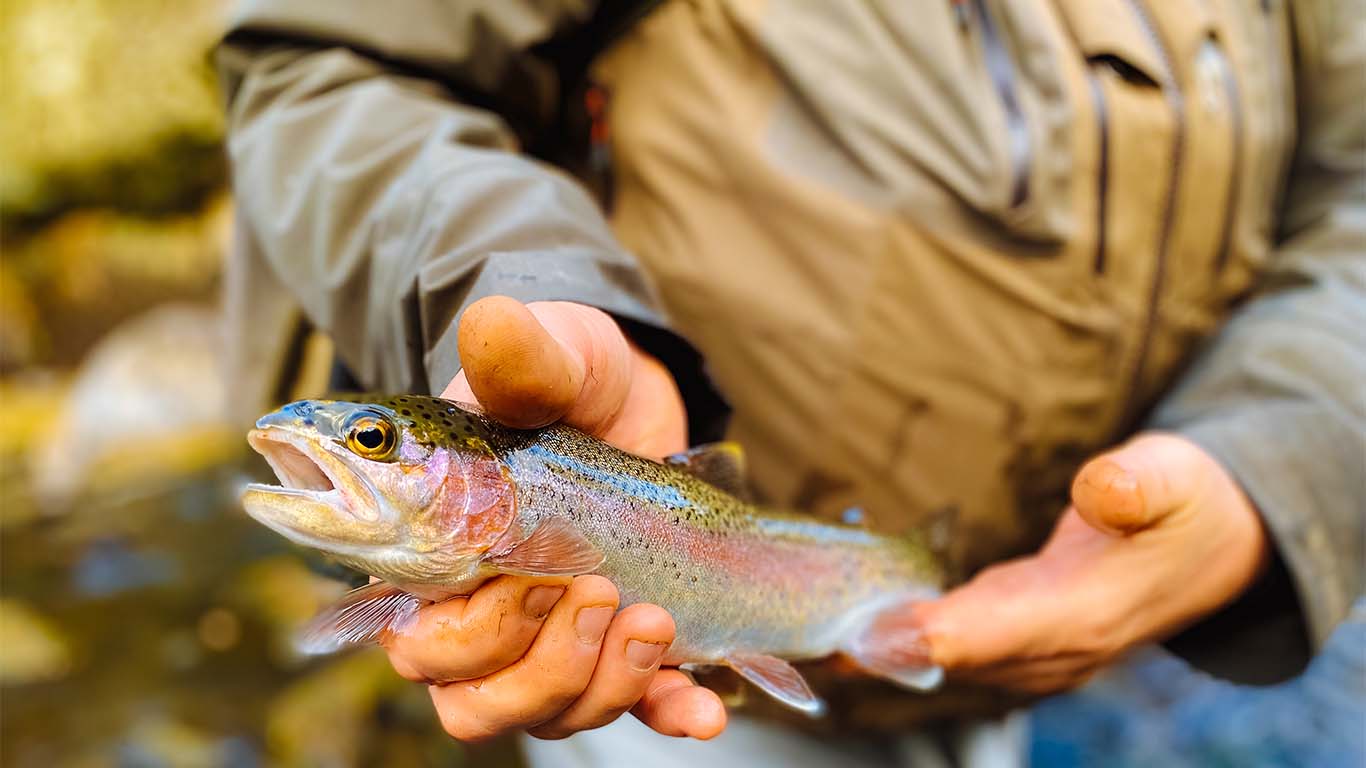 Harwood Ranch Live Water Properties Ranches for Sale in Montana