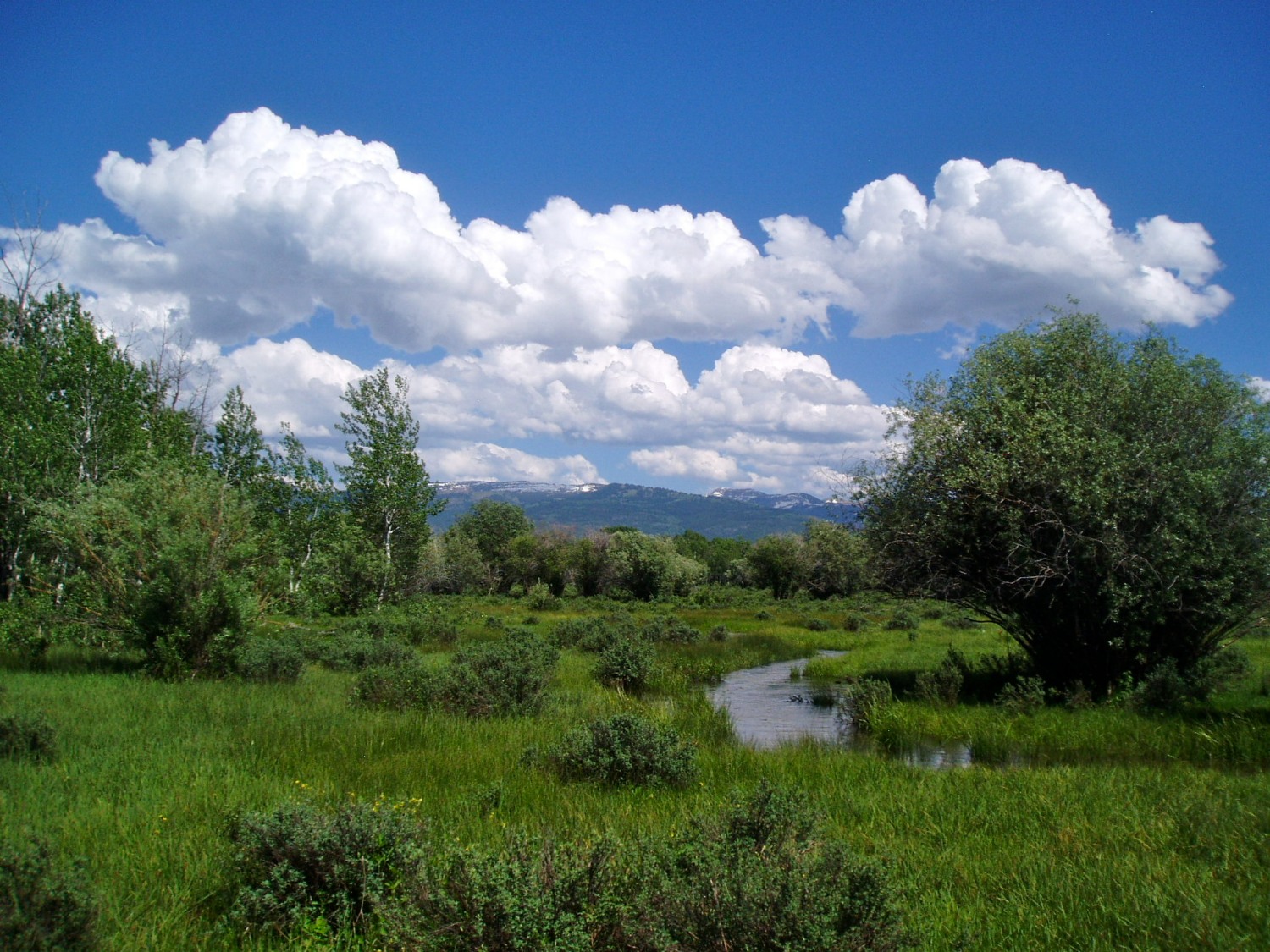 Fly Fishing Ranches for Sale Live Water Properties Western Ranches