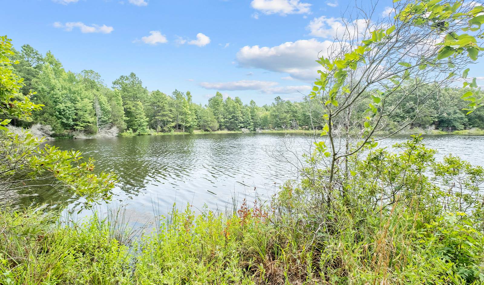 Spring Creeks Ranch Live Water Properties Ranches for Sale in