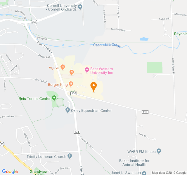 Ellis Hollow Road Apartments, Retirement home, Ithaca, NY, Senior