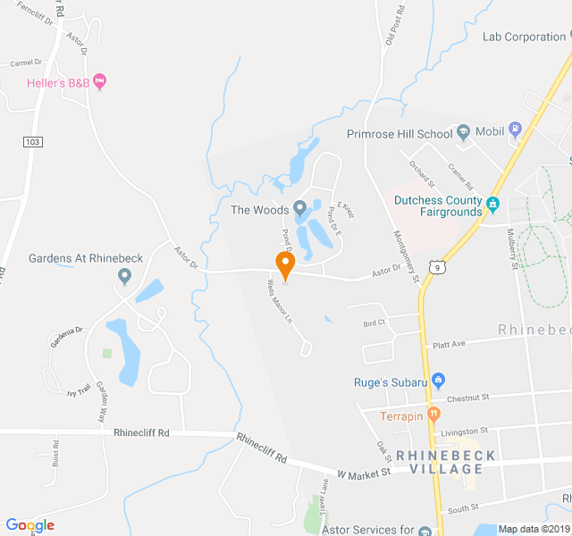 Wells Manor, Retirement home, Rhinebeck, NY, Senior Living Housing Care