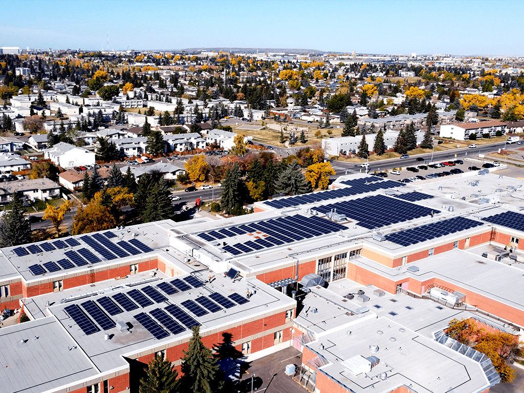 Our Projects Forest Lawn High School Zeno