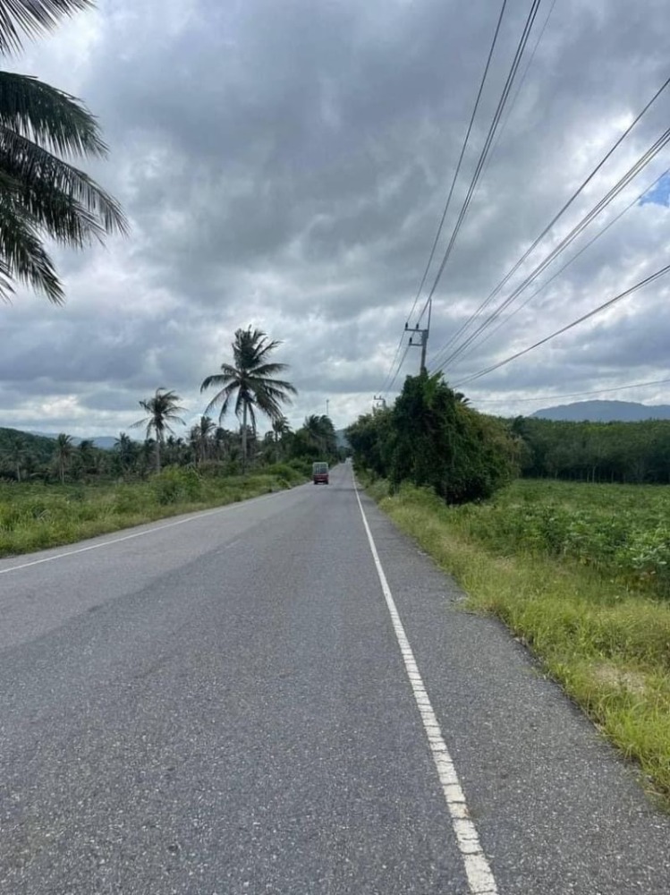Land for sale on the road, width 120 meters, Khao Ta Baek, Sri Racha