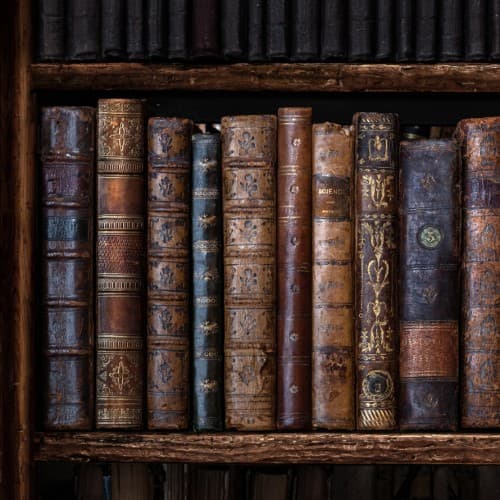 How to Arrange a ColorCoded Bookshelf for a Satisfying Rainbow