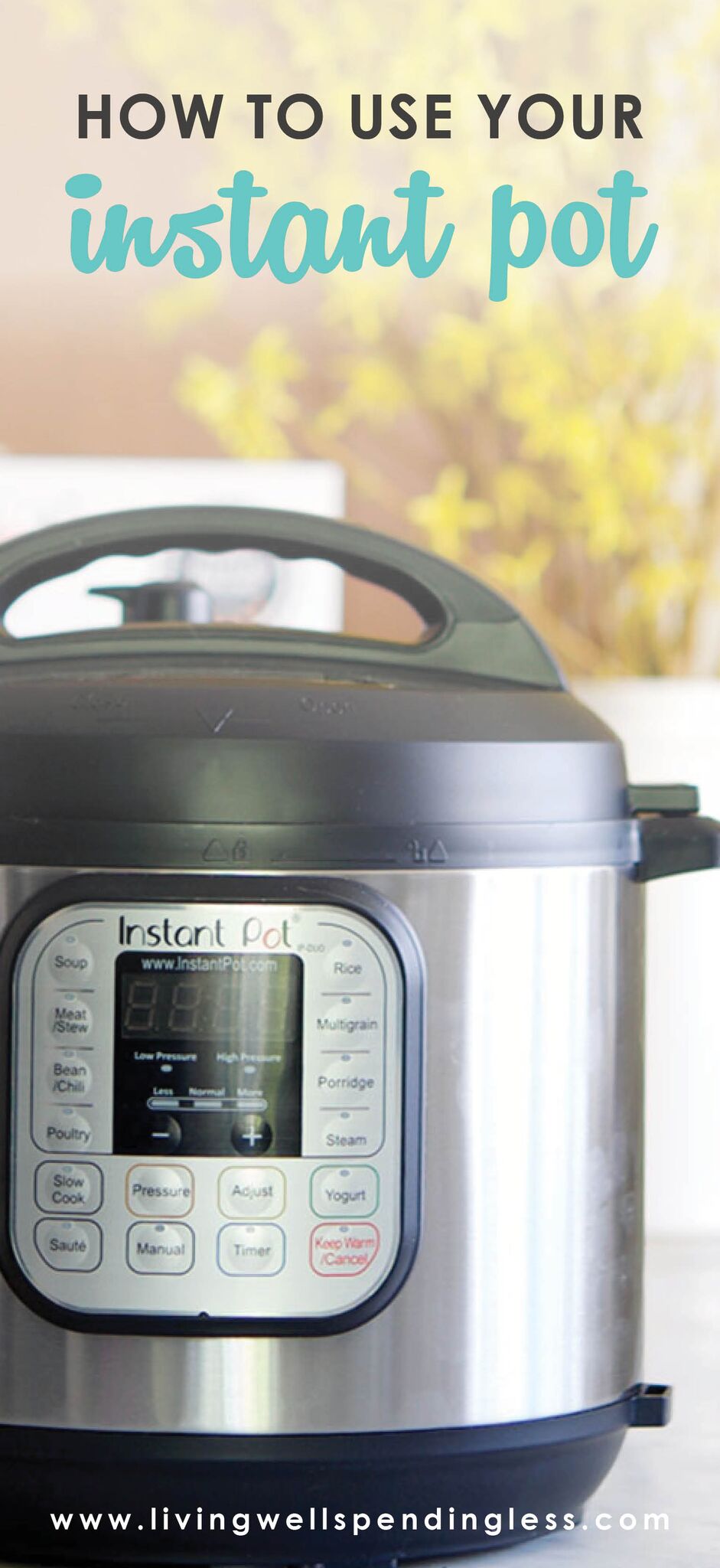 14 Tips & Tricks for Easy Instant Pot Meals Living Well Spending Less®