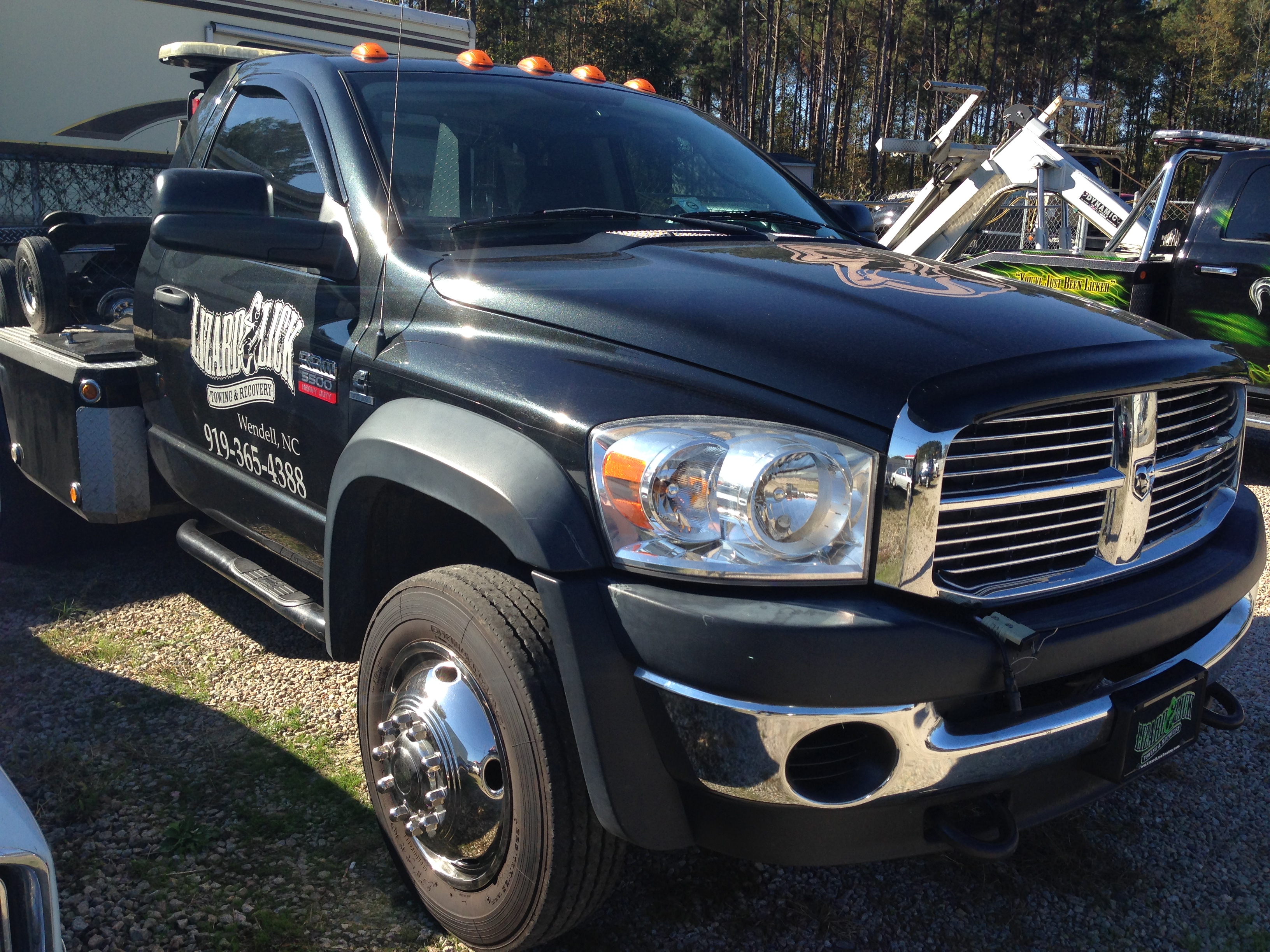 Lizard Tails Lizard Tail Fleet Lizard Lick Towing