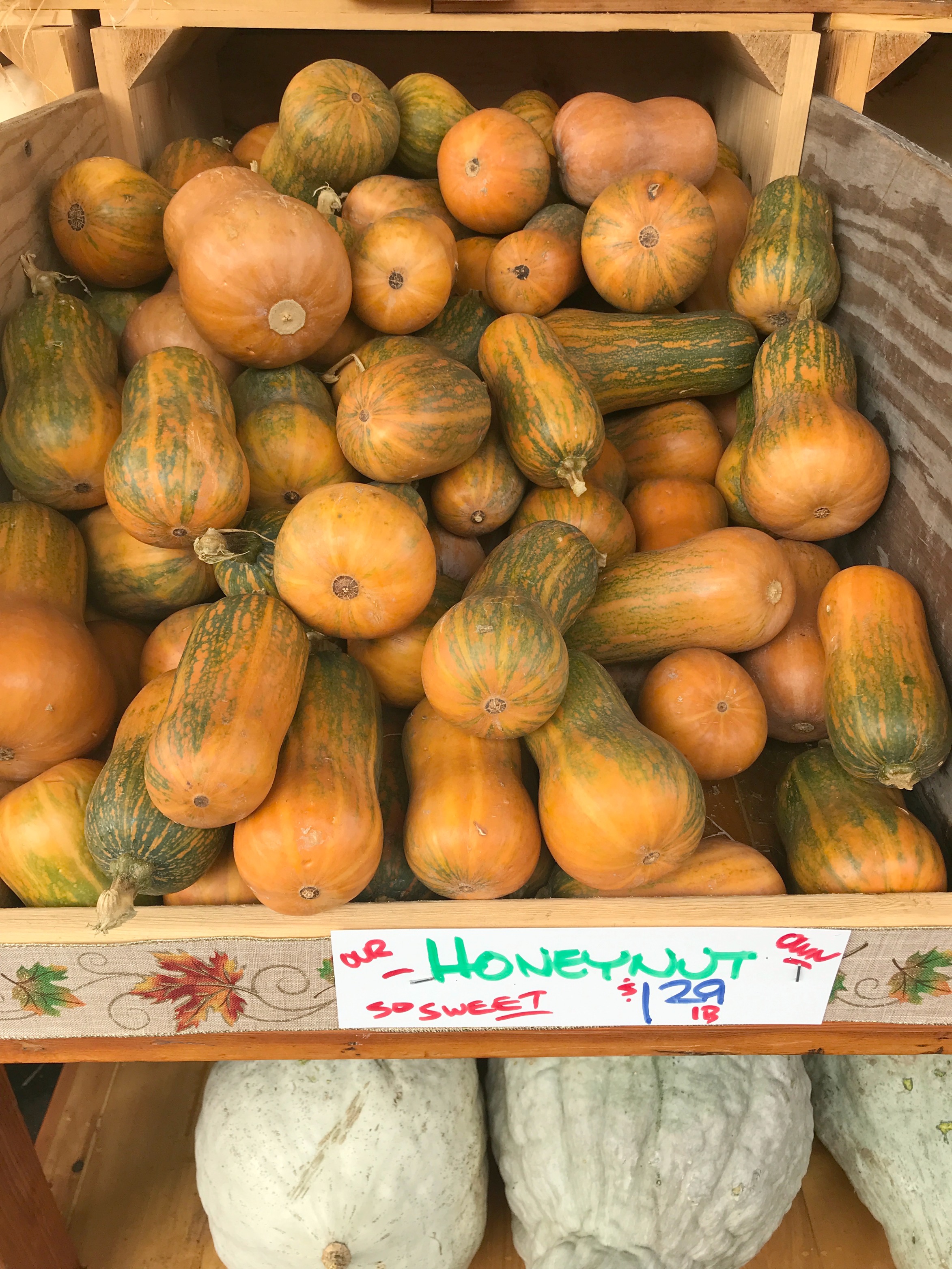 Honeynut Squash on Wilson Farm shelf